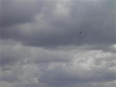 PICT1850.JPG